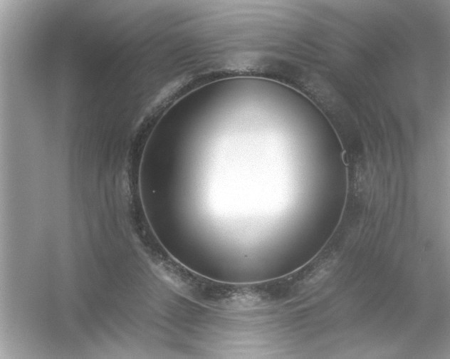 X0000054430256200508051840