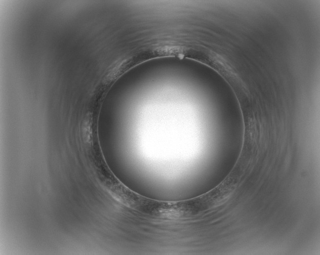 X0000054430259200508051840