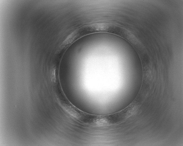 X0000054430262200508051840