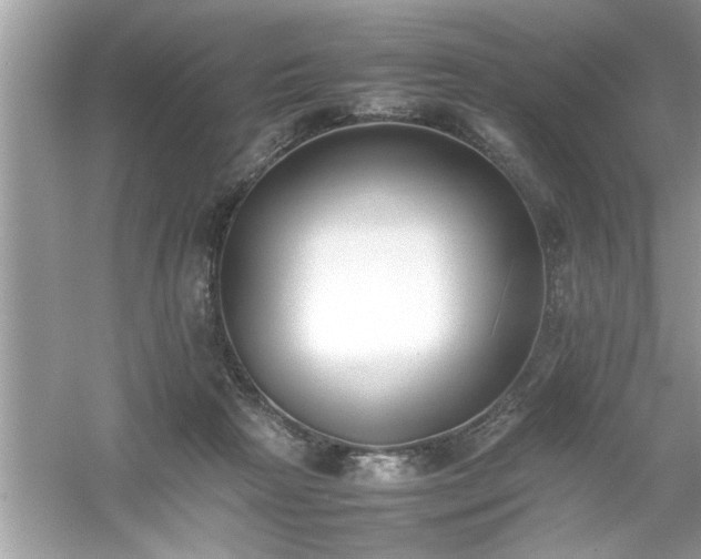 X0000054430265200508051840