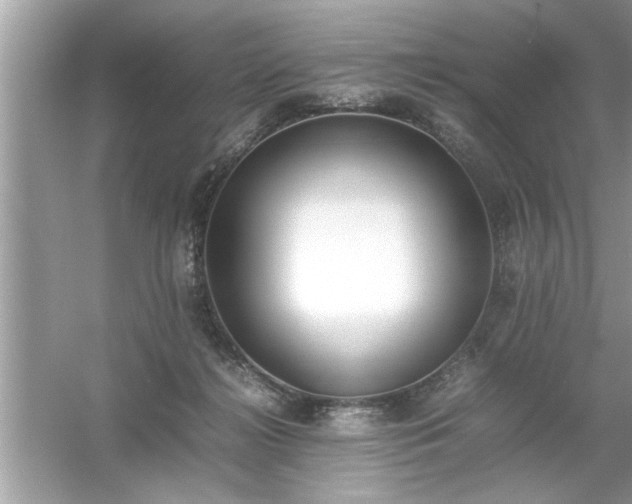 X0000054430268200508051840