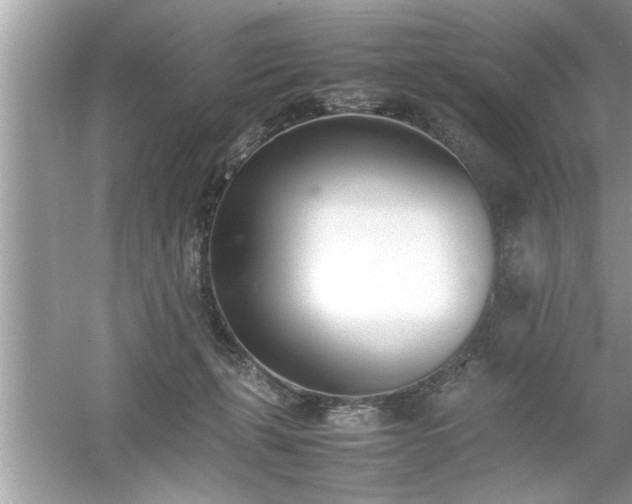 X0000054430271200508051840