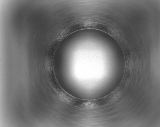 X0000054430272200508051840