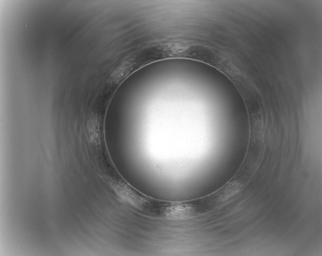 X0000054430274200508051840