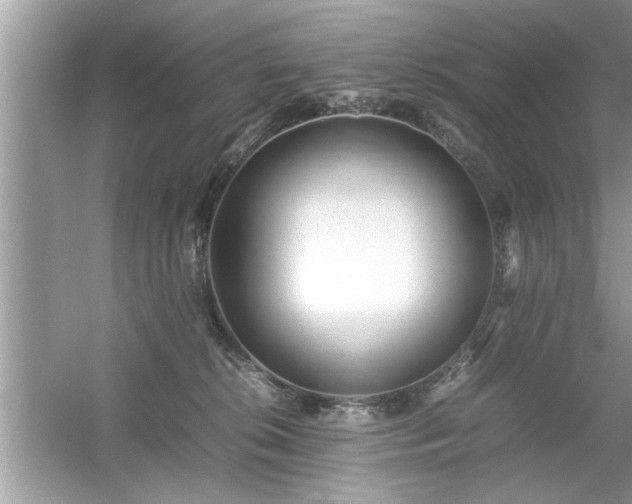 X0000054430276200508051840