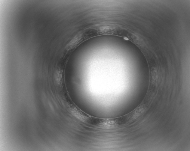 X0000054430278200508051840