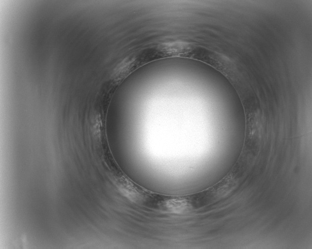 X0000054430279200508051840