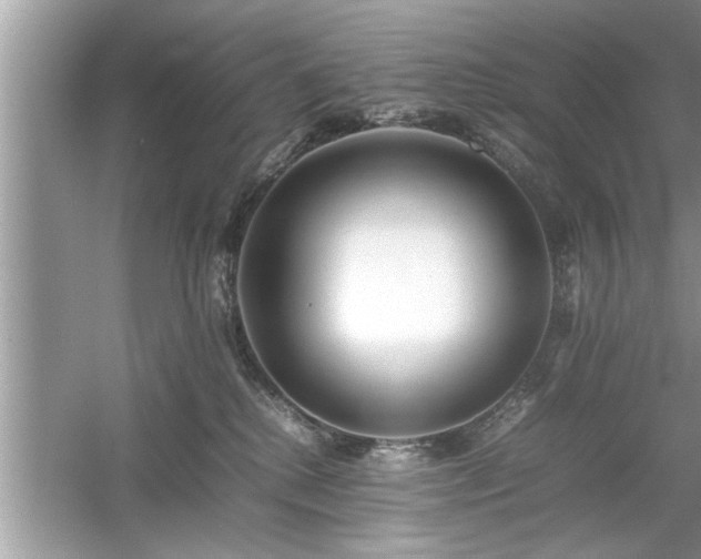 X0000054430280200508051841