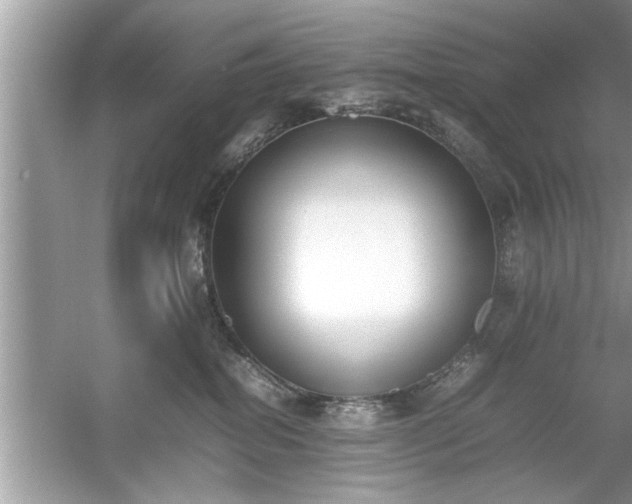 X0000054430282200508051841