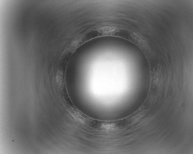 X0000054430283200508051841