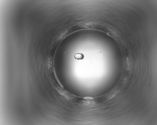 X0000054430284200508051841