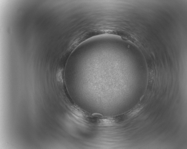 X0000054430286200508051841