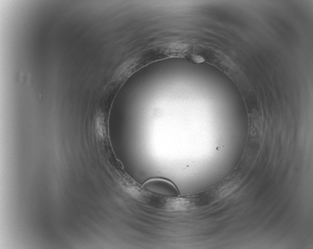 X0000054430287200508051841