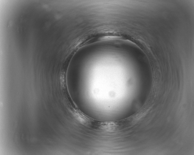 X0000054430288200508051841