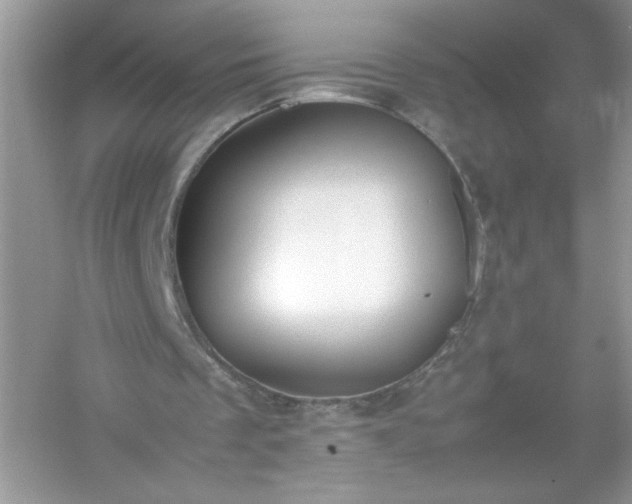 X0000054430289200508051840