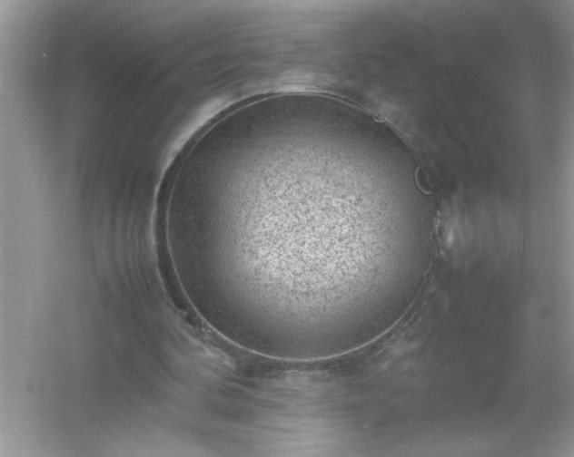 X0000054430292200508051840