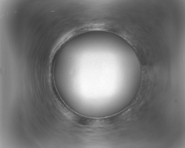 X0000054430293200508051840