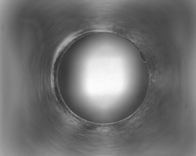 X0000054430294200508051840