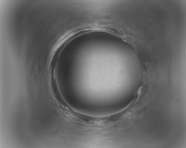 X0000054430295200508051840