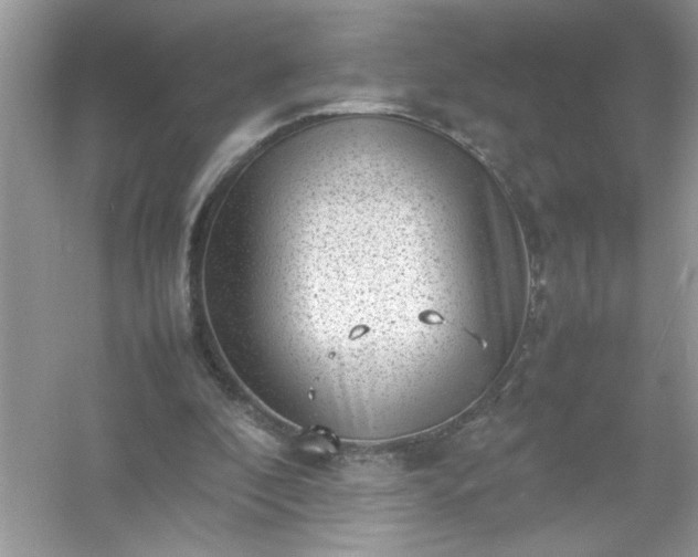 X0000054430296200508051840