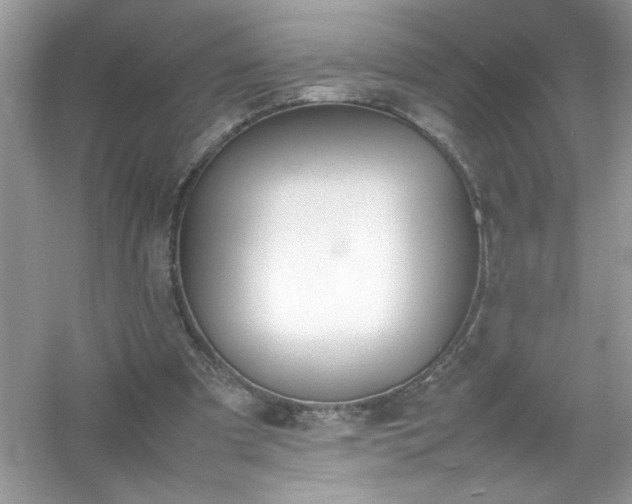 X0000054430297200508051840