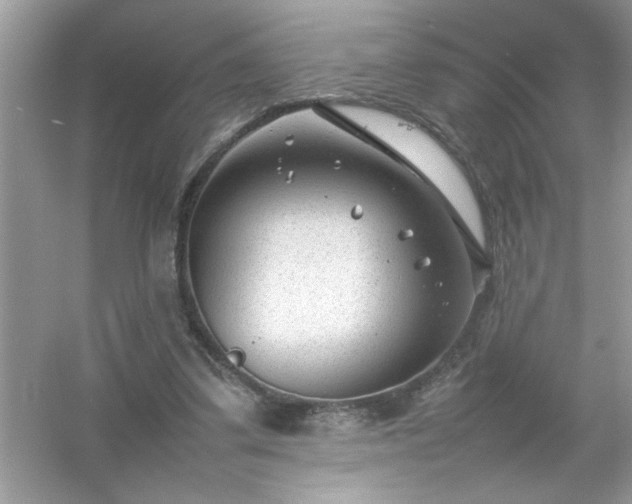 X0000054430299200508051840