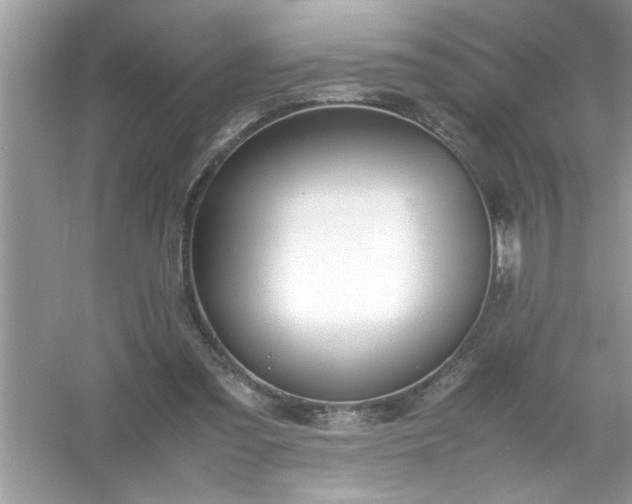 X0000054430301200508051840