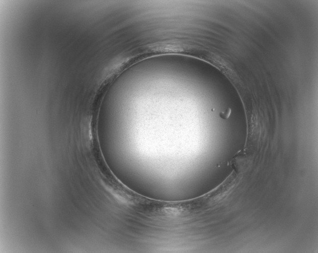 X0000054430302200508051840