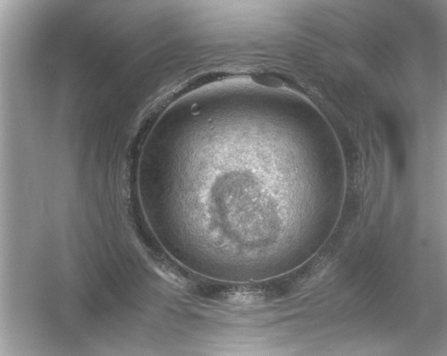 X0000054430303200508051840