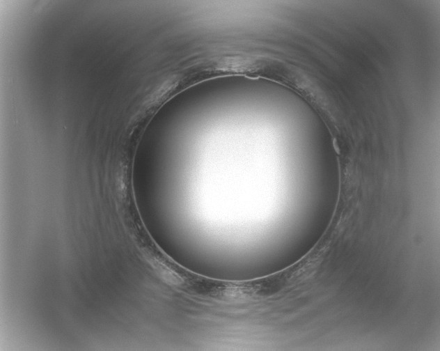 X0000054430305200508051840