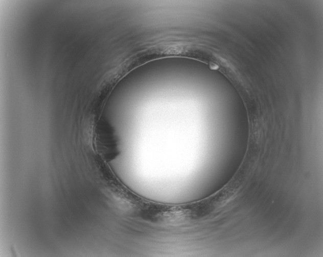 X0000054430307200508051840