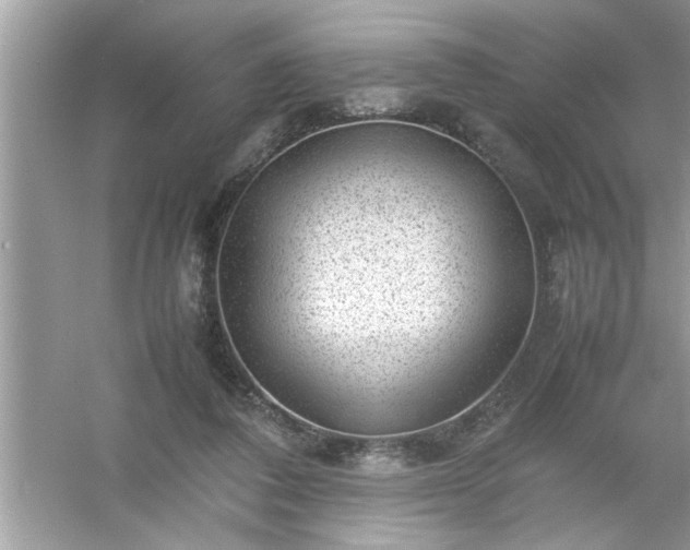 X0000054430308200508051840