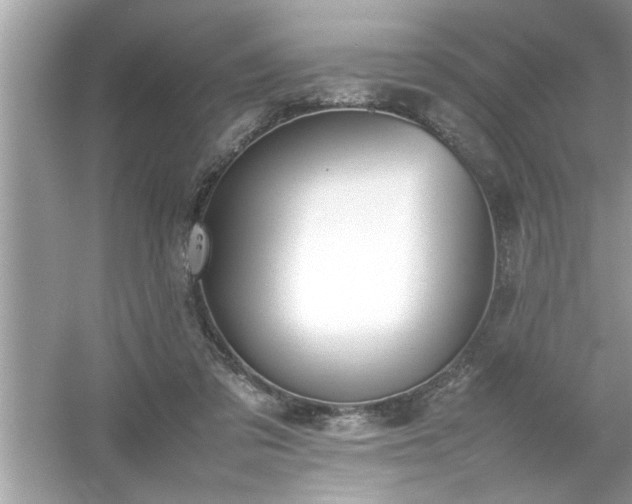 X0000054430309200508051839