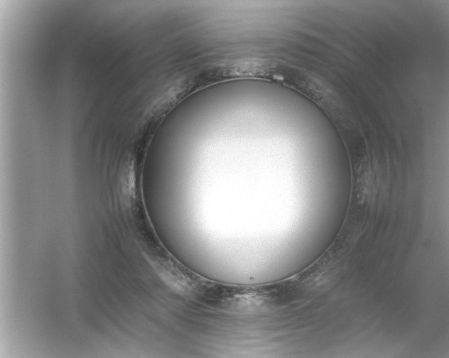 X0000054430310200508051839