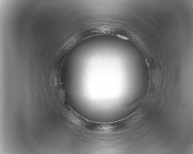 X0000054430313200508051839