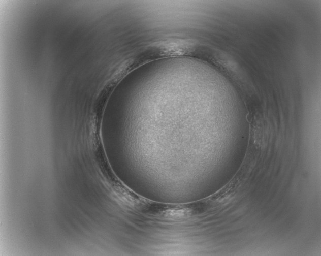 X0000054430314200508051839