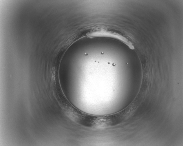 X0000054430315200508051839