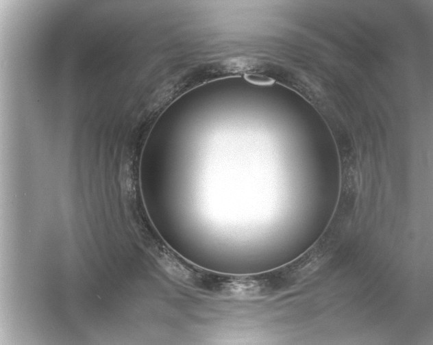 X0000054430317200508051839