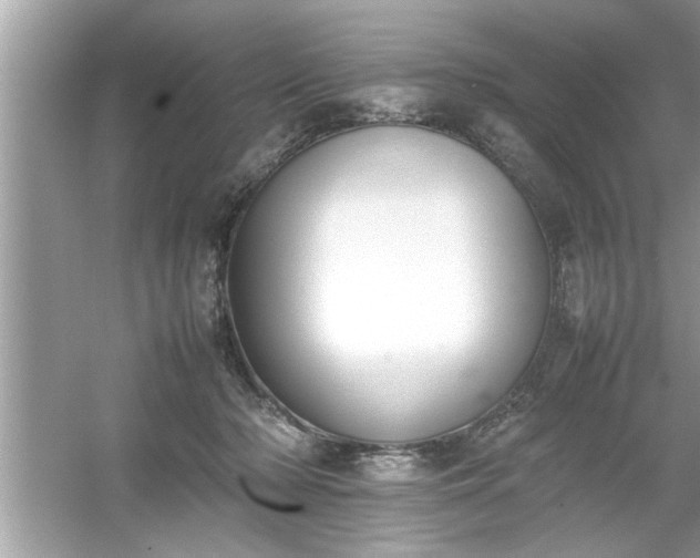 X0000054430318200508051839