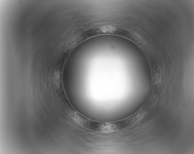 X0000054430321200508051839