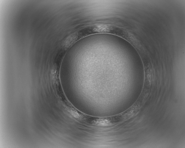 X0000054430322200508051839