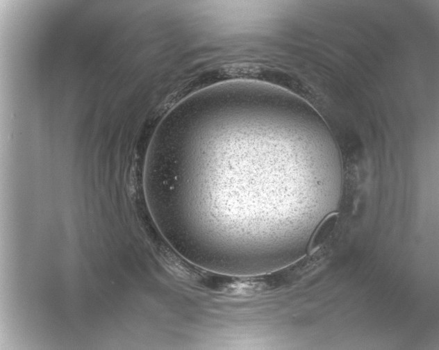 X0000054430323200508051839