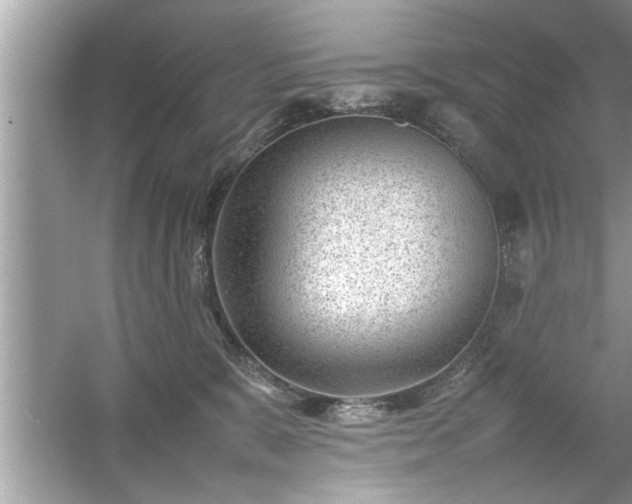 X0000054430327200508051839