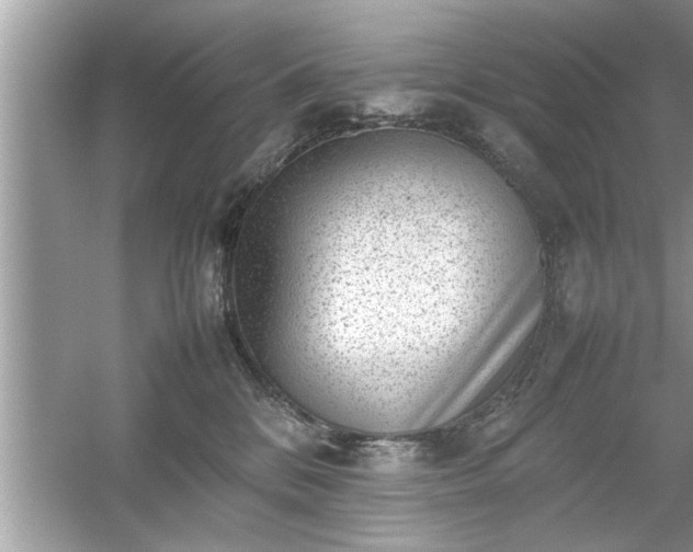 X0000054430328200508051839