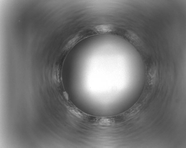 X0000054430330200508051839