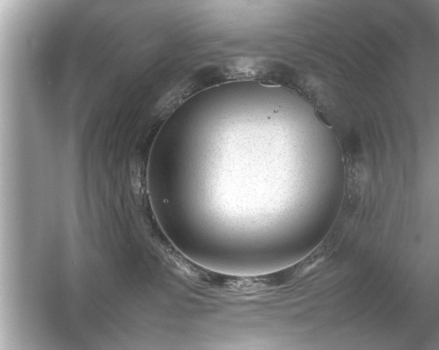 X0000054430331200508051839