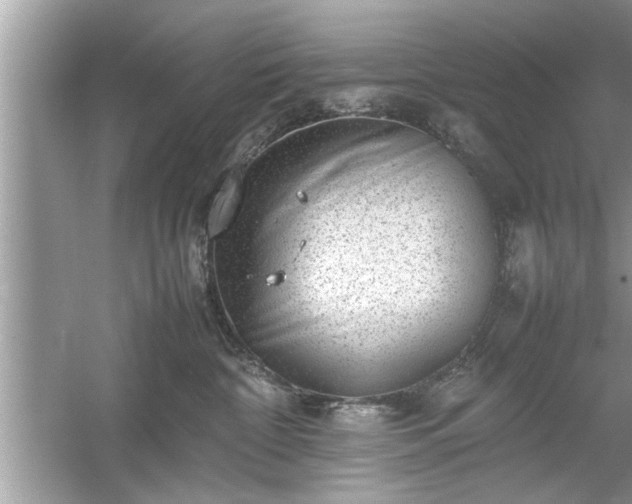 X0000054430332200508051839