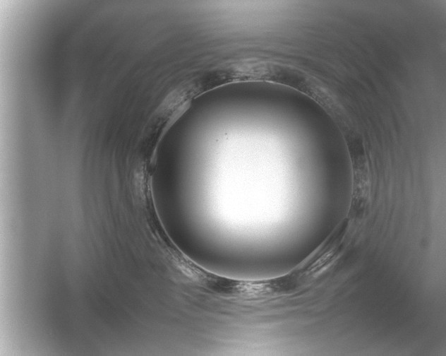 X0000054430333200508051839