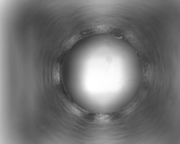 X0000054430334200508051839