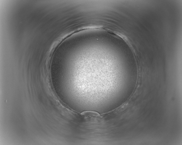 X0000054430337200508051838